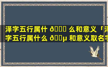 泽字五行属什 🐛 么和意义「泽字五行属什么 🌵 和意义取名字」